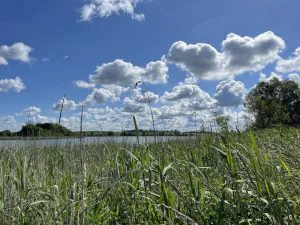 L’eau et l’agriculture : un équilibre fragile face au changement climatique