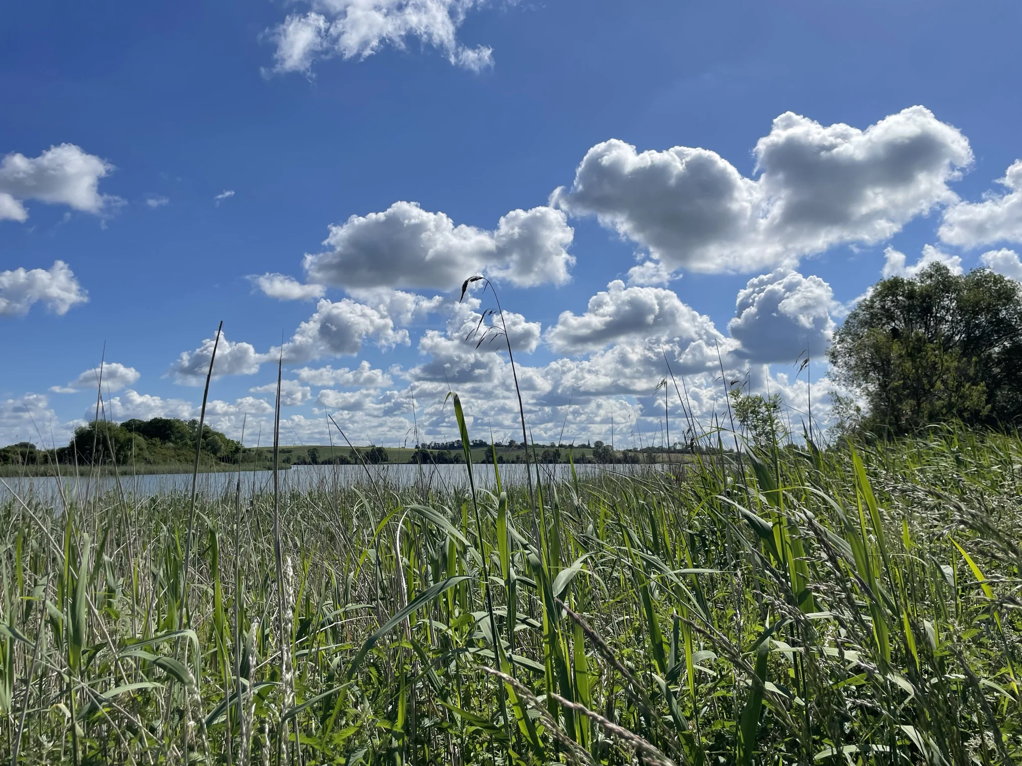 L’eau et l’agriculture : un équilibre fragile face au changement climatique