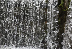 L’eau, un bien commun vital à préserver
