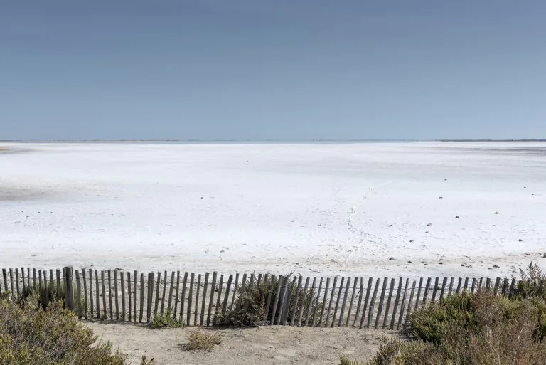 L’irrigation des sols de la Camargue