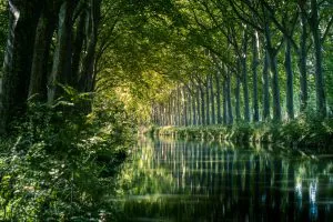 Canal du Midi : restauration de la biodiversité et des berges